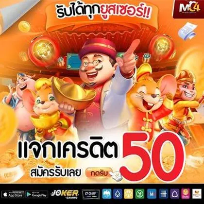 355BET 355BET