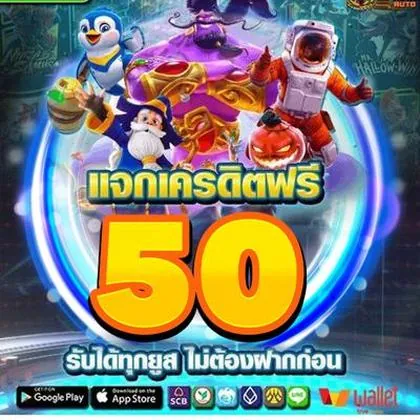 355BET 355BET